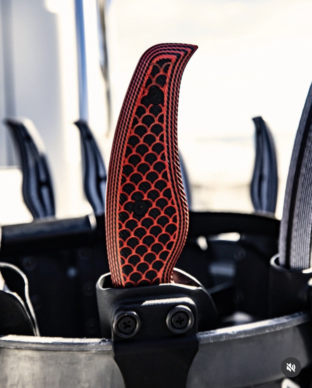 Sord 6" fillet knife- serrated LIMITED EDITION