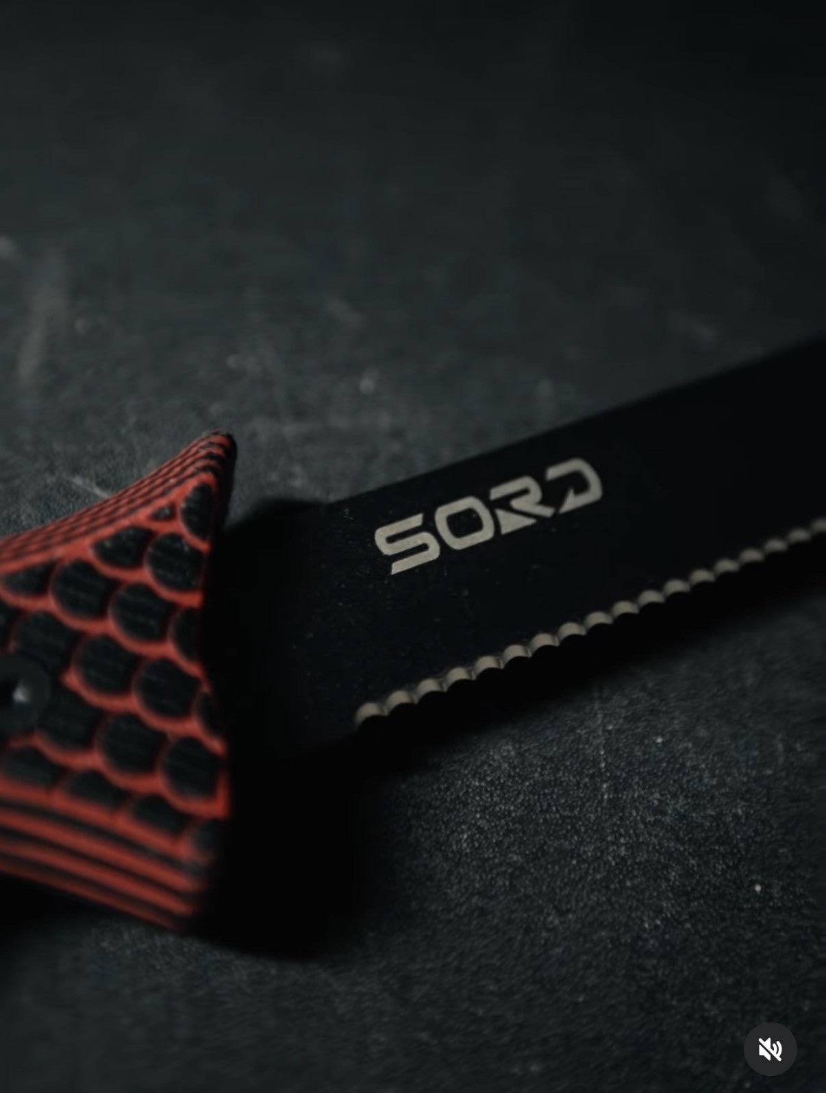 Sord 6" fillet knife- serrated LIMITED EDITION