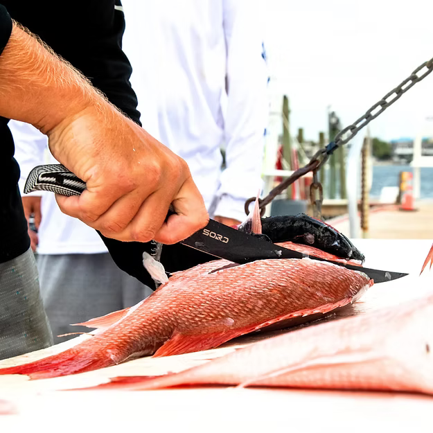 SORD 9" fillet knife - flexy