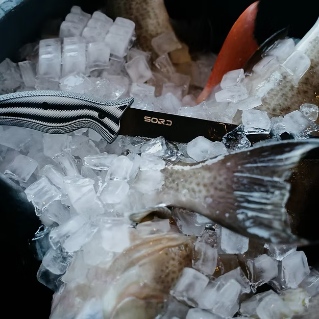 SORD 9" serrated knife